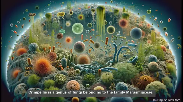 Video thumbnail for Crinipellis in biology
