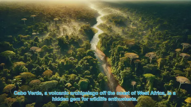 Video thumbnail for Discovering Cabo Verde's Wildlife Wonders: Top 10 Destinations