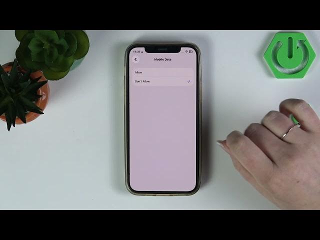 Video thumbnail for iPhone (iOS 26) – Disable Mobile Data Changes