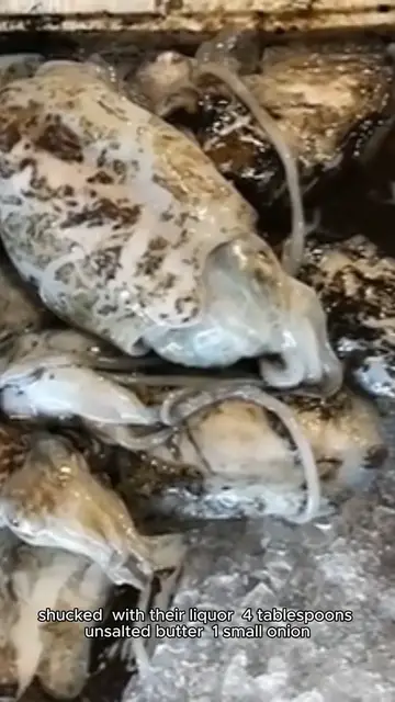 Video thumbnail for oyster stew recipe