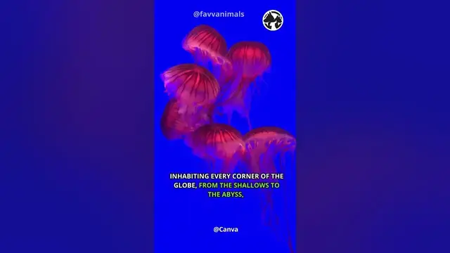 'Video thumbnail for Ocean Blooms  - The Spectacular Dance of Jellyfish Swarms #shorts #animals #wildlife'