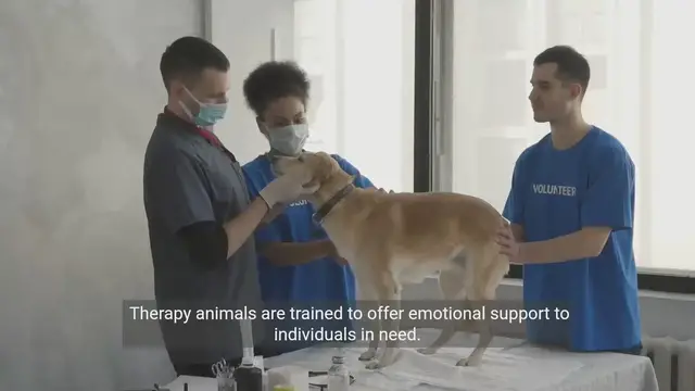 Video thumbnail for The Healing Power of Animal Therapy - A Documentary