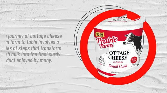 Video thumbnail for From Farm to Table: The Journey of Cottage Cheese from Milk to Curds