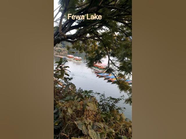 Video thumbnail for ✨ Heaven at Fewa Lake ✨