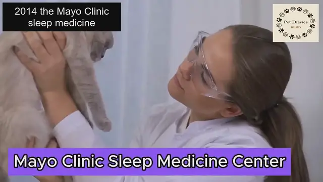 'Video thumbnail for What happens if you Sleeping with Your Cat'