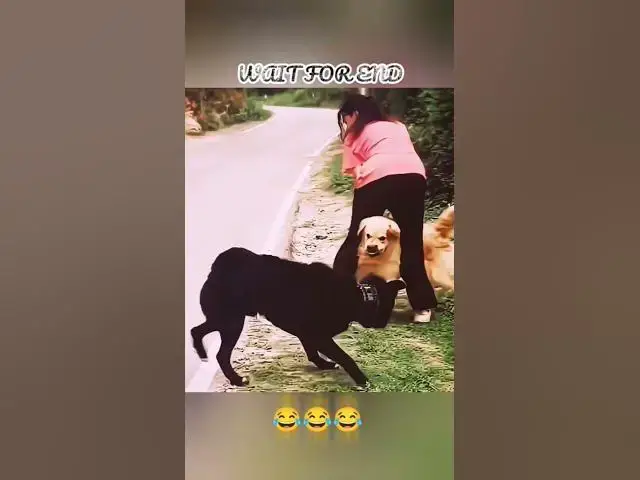 Video thumbnail for "आखिर तक देखना, अपनी हंसी रोक कर दिखाओ! 😂🔥"#hollywoodmovies #trending #viral