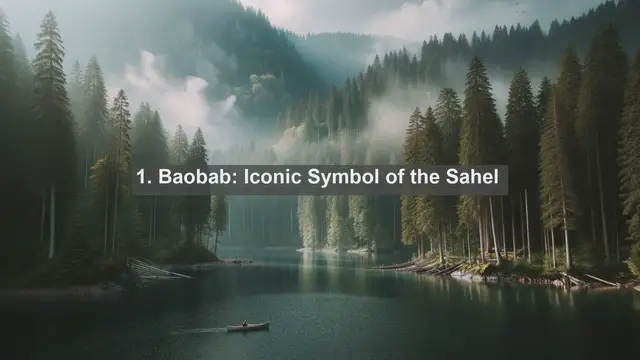 Video thumbnail for Unveiling Burkina Faso's Floral Diversity: Top 10 Native Flora