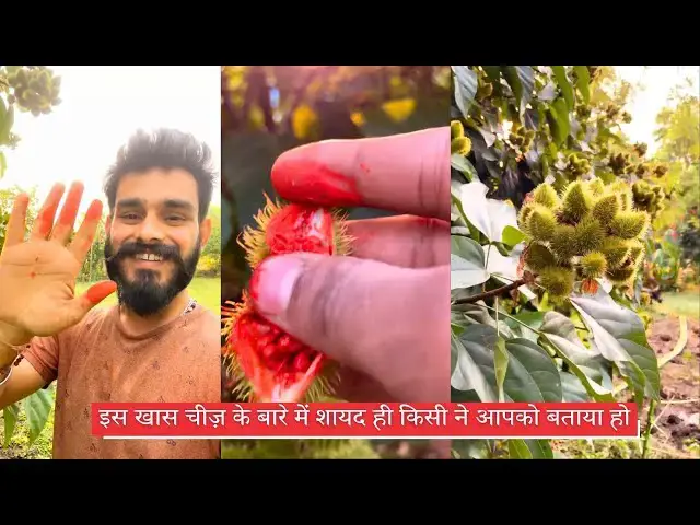 'Video thumbnail for इस खास चीज़ के बारे में शायद ही किसी ने आपको बताया हो'