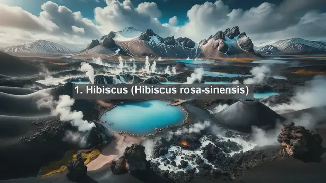 Video thumbnail for Revealing Guadeloupe's Botanical Treasures: Top 10 Native Plants Unveiled