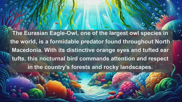 Video thumbnail for Top 10 native birds in North Macedonia