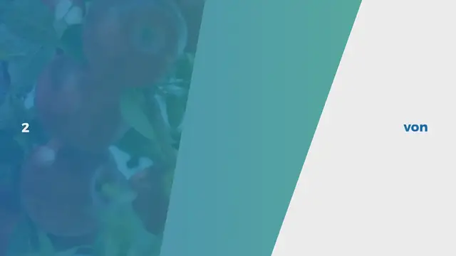 Video thumbnail for APFELMUS SELBER MACHEN – EINFACHES GRUNDREZEPT!