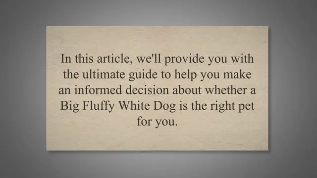 'Video thumbnail for The Ultimate Guide to Big Fluffy White Dogs: Characteristics, Care, and Considerations'