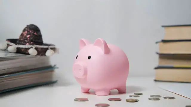 Video thumbnail for Extreme Frugality Living on $12 a Day, Frugal Living