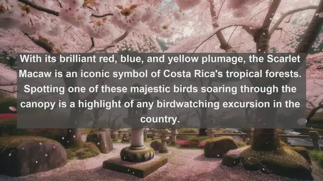 Video thumbnail for Wings of Costa Rica: Explore the Top 10 Native Birds of this Breathtaking Biodiversity Hotspot