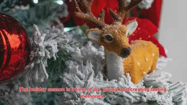 Video thumbnail for How Do Families Create Traditions With Reusable Holiday Wrapping Materials?