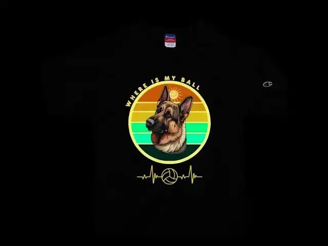 'Video thumbnail for Men's Champion T-Shirt BaLoo-Star-Cap Ball'