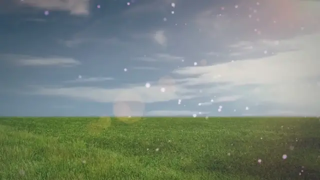 Video thumbnail for Do Dachshunds Do Better In Pairs Or As Single Dogs?