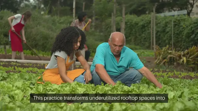 Video thumbnail for Rooftop Vegetables