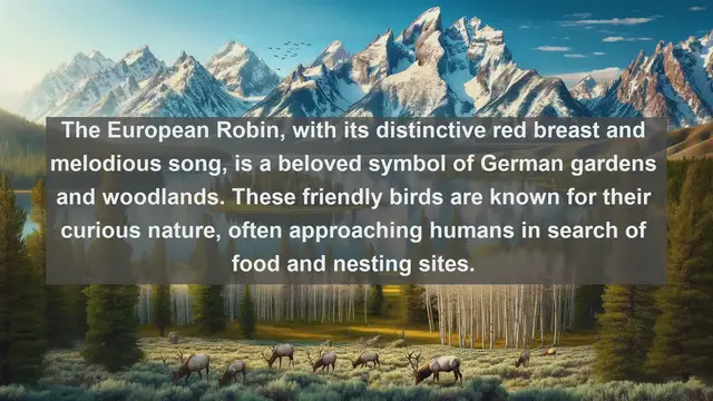 Video thumbnail for Wings Over Germany: Discovering the Top 10 Native Birds