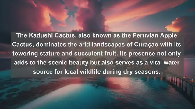 Video thumbnail for Exploring Curaçao's Natural Treasures: Top 10 Native Flora Species