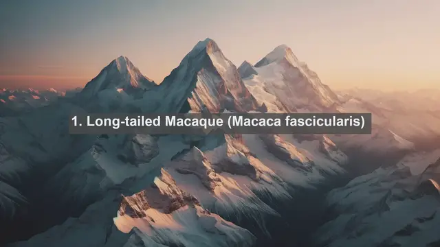 Video thumbnail for Discover Singapore's Natural Wonders: Top 10 Native Fauna You Must See!