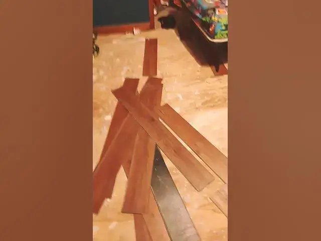 Video thumbnail for i went down stairs for a minute