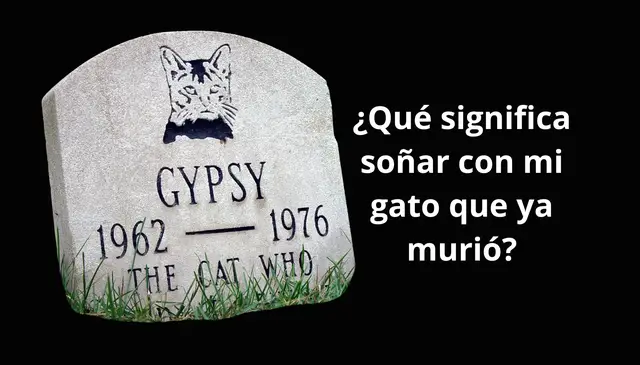Video thumbnail for El Significado de Soñar con mi Gato que ya Murió