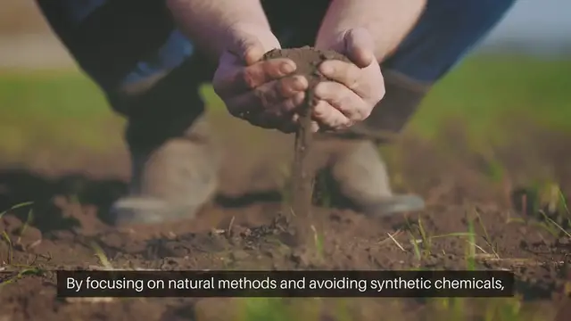 Video thumbnail for Organic Gardening Soil Preparation Techniques