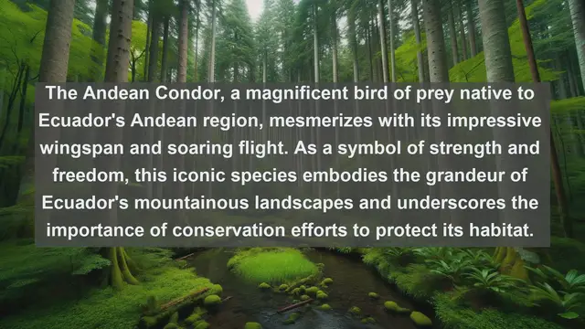Video thumbnail for Ecuador's Natural Wonders Unveiled: Top 10 Native Animals