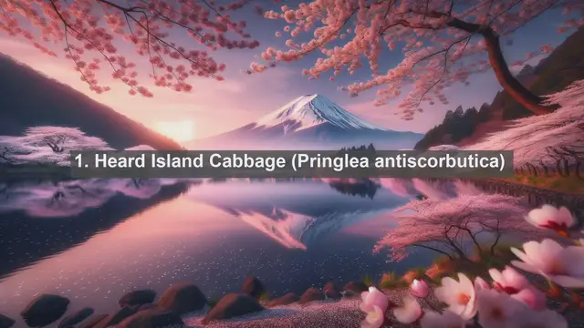 Video thumbnail for Unveiling the Botanical Marvels of Heard Island: Top 10 Native Flora Species
