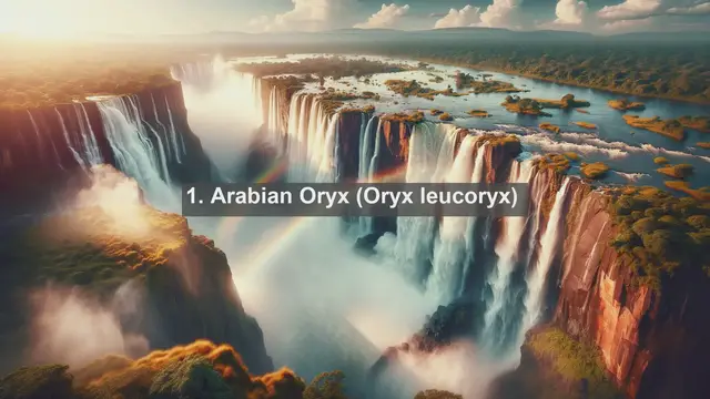 Video thumbnail for Unveiling Kuwait's Wildlife Wonders: Top 10 Native Animals