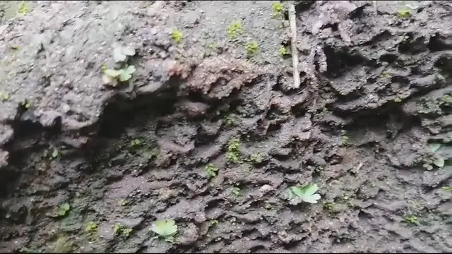 Video thumbnail for Ground