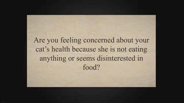 Video thumbnail for How Long Cats Can Go Without Eating? A Day or A Week?