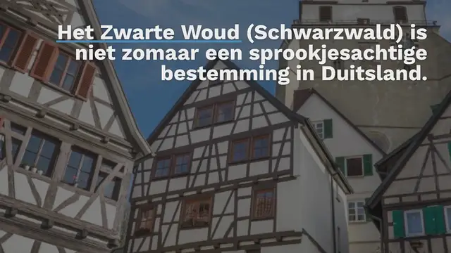 Video thumbnail for 20x de mooiste bezienswaardigheden in het Zwarte Woud [dit wil je niet missen]