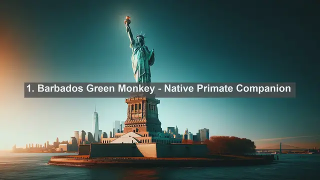 Video thumbnail for Meet Barbados' Top 10 Favorite Pets: Discover the Perfect Companion for You!