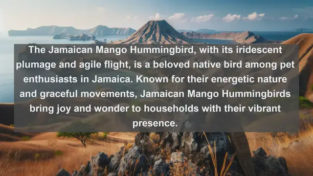 Video thumbnail for Jamaica's Most Beloved Companions: Top 10 Favorite Pets Revealed