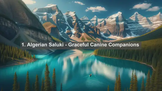 Video thumbnail for Pet Paradise in Algeria: Top 10 Beloved Pets Unveiled