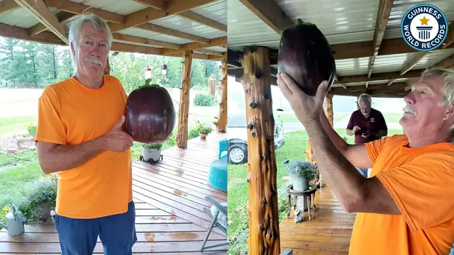 'Video thumbnail for Dave Bennett grows the world's heaviest aubergine'