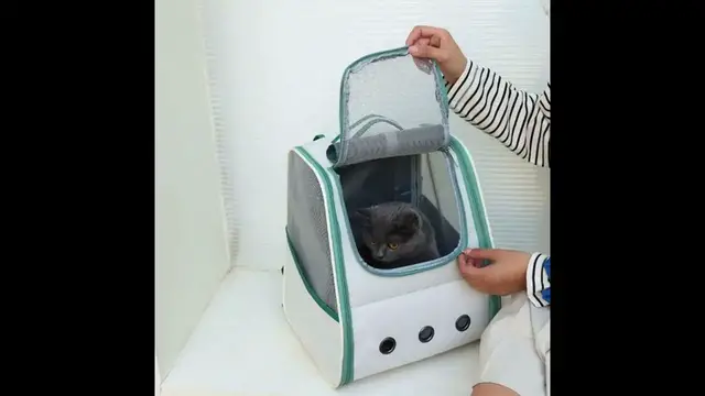 'Video thumbnail for Cat Bag Pet Bag Carrying Convenient Backpack Portable Breathable Cat Dog Pet Supplies'