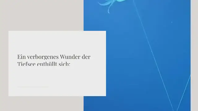 Video thumbnail for Wie aus einer anderen Welt: Als Meeresforscher dieses Wesen entdecken, trauen sie ihren Augen kaum