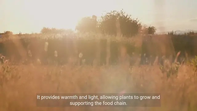 Video thumbnail for The Importance of Our Sun - Exploring the Powerhouse of Energy