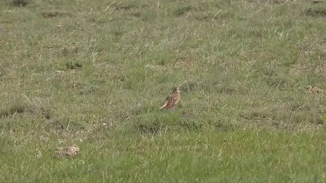 Video thumbnail for David Archuleta reveals what his mother texted when 'Hell Together' came out (exclusive)