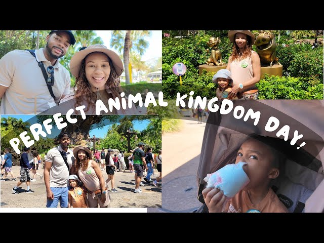 Video thumbnail for The Perfect Animal Kingdom Day: Disney World Family Vlog Day 3