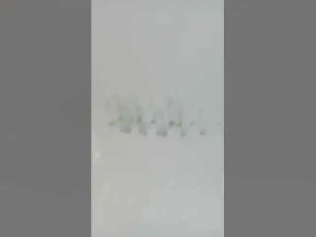 Video thumbnail for June 1, 2025