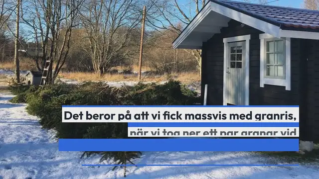 Video thumbnail for Julbock