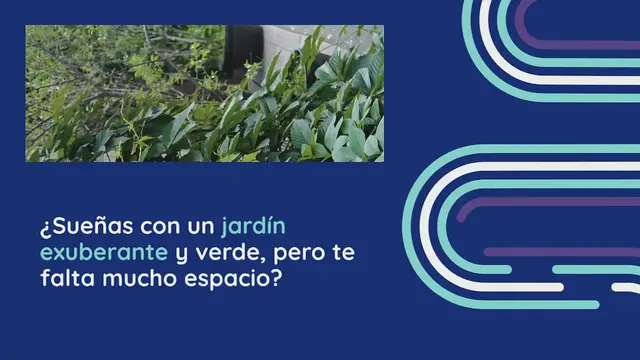 Video thumbnail for Los secretos para crear un jardín vertical exitoso en 4 pasos