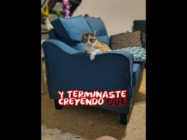 Video thumbnail for #consejos