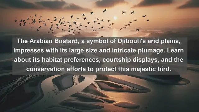 Video thumbnail for Discover Djibouti's Avian Treasures: Top 10 Native Birds