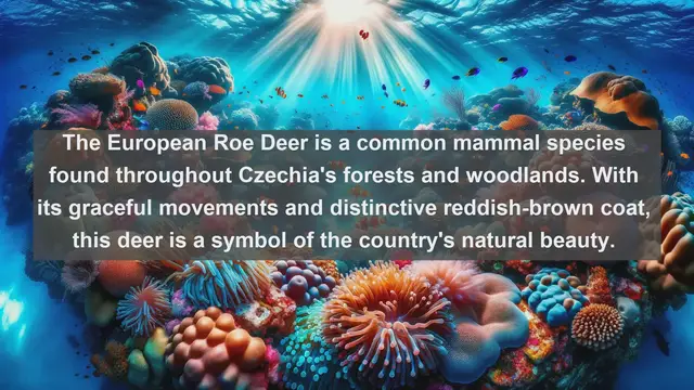 Video thumbnail for Discovering Czechia's Natural Treasures: Top 10 Native Fauna