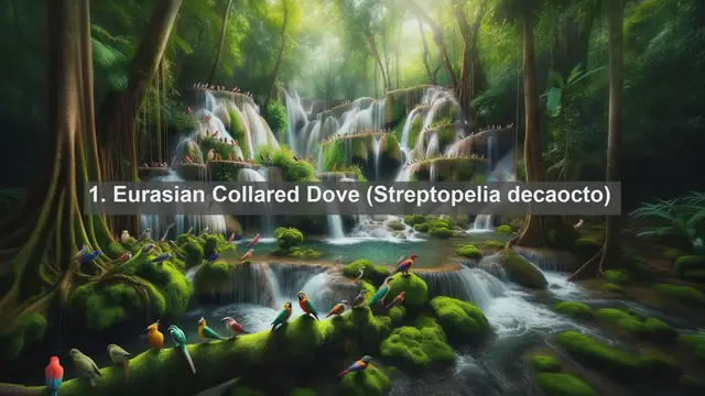 Video thumbnail for Discovering Vatican City Wildlife: Top 10 Native Fauna Revealed